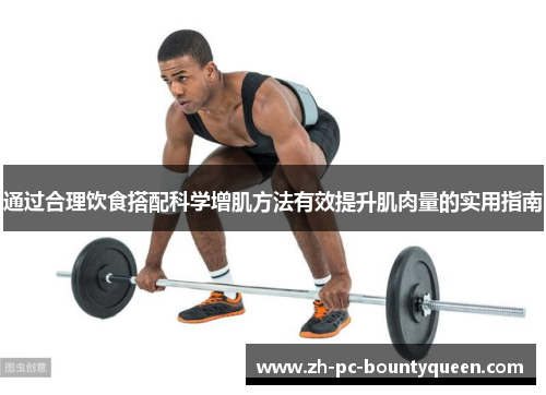 通过合理饮食搭配科学增肌方法有效提升肌肉量的实用指南